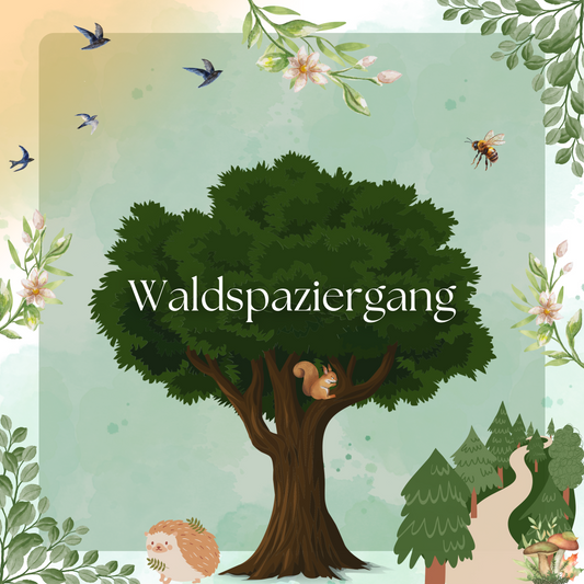 Waldspaziergang